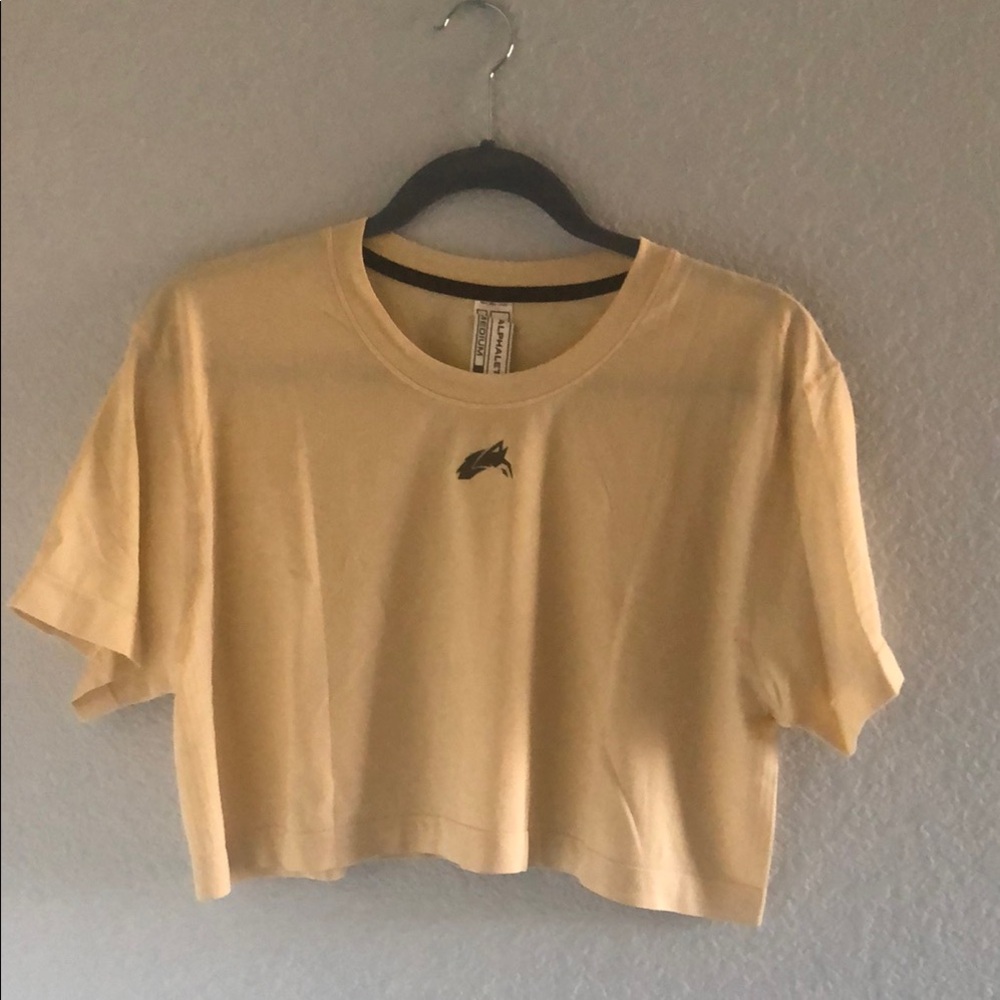 Alphalete airtech short sleeve crop, size Medium.  Color Beige.
